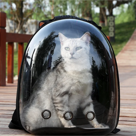 Pet Travel Bag